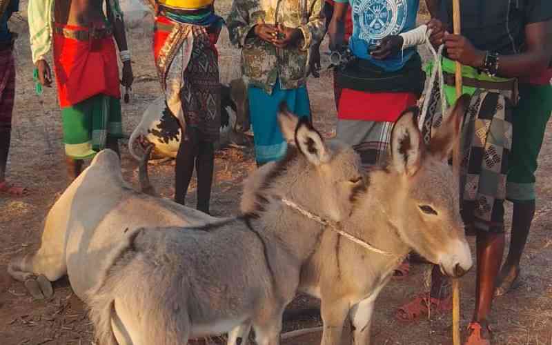 Samburu MCA raises concern over livestock deaths during security operation