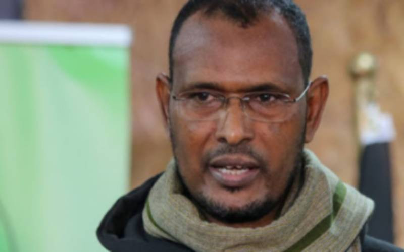 We hid after announcement of election results - IEBC commissioner Abdi Guliye