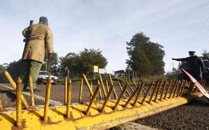 Gang masquerading as traffic police erects roadblocks, robs motorists