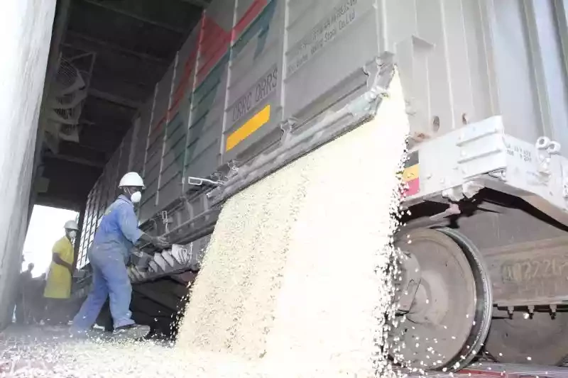 Government to import 25 million bags of maize due to massive crop failure