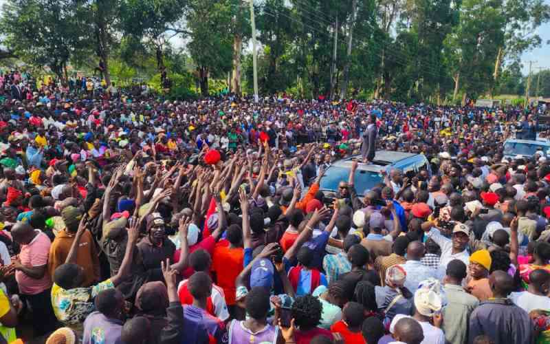 Barasa promises free milk for learners in Bungoma if elected governor