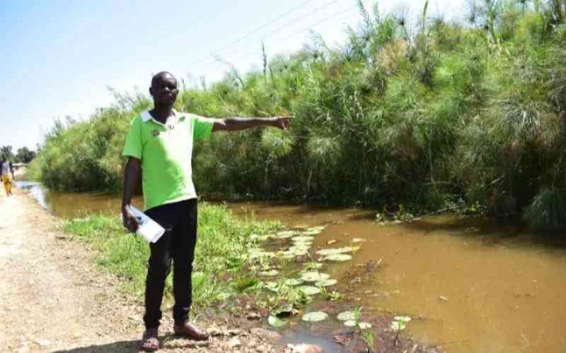 Pollution choking wetlands as negotiations hit roadblock