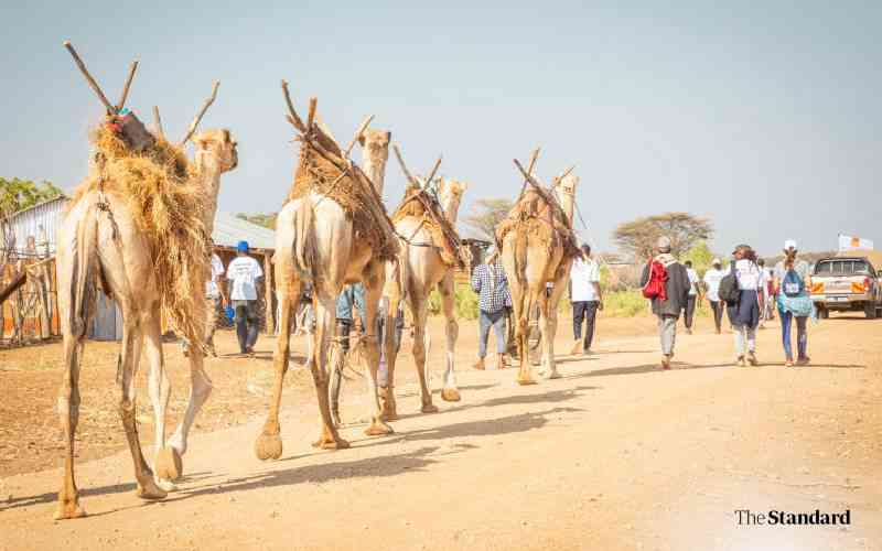 Narok Airstrip upgrade to boost Kenya's tourism industry