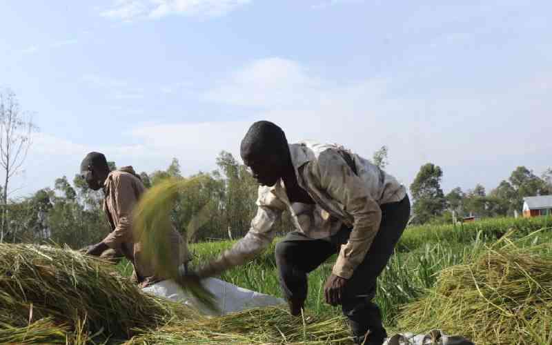 Forum calls for collaboration to up food safety