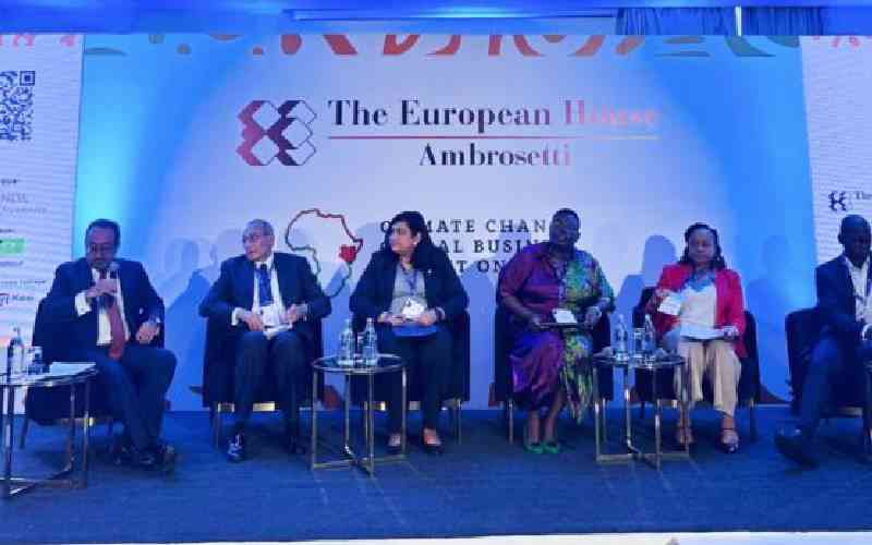 African experts meet in Kenya to advance green transition