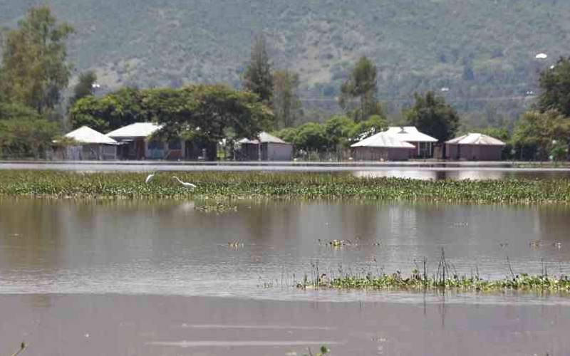Preparing for El Nino rains must begin at community level 