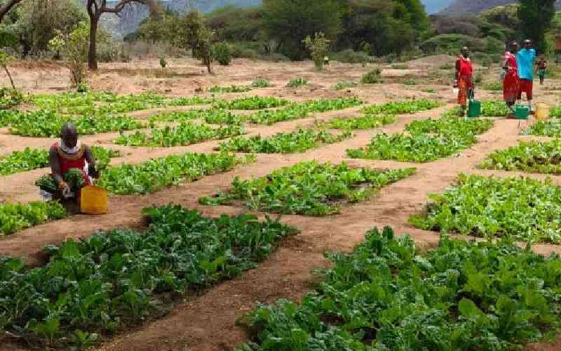 Samburu village reduces malnut. 