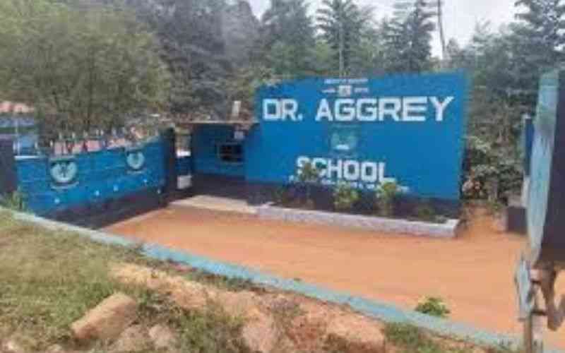 Four schools destroyed in fresh wave of student unrest