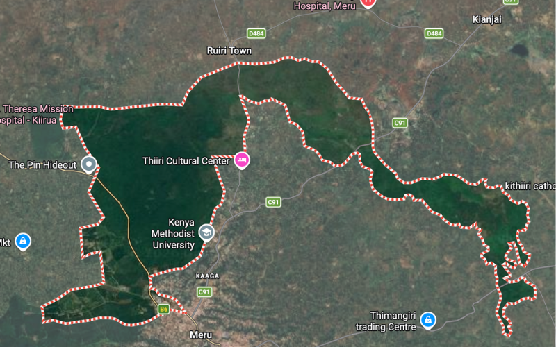 Rhino Ark opposes construction of airstrip on part of Upper Imenti Forest