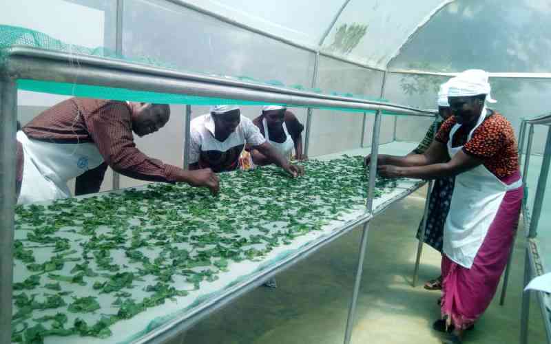 Vegetable preservation should be part of conversations on food security