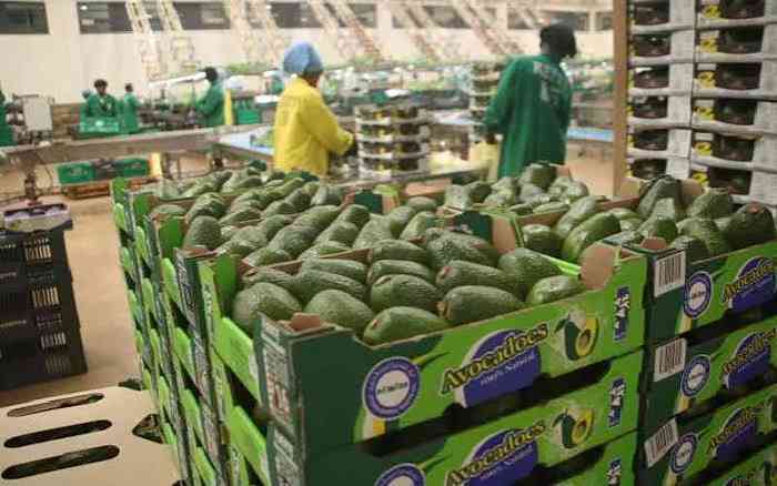 Export agency steps up push for new markets