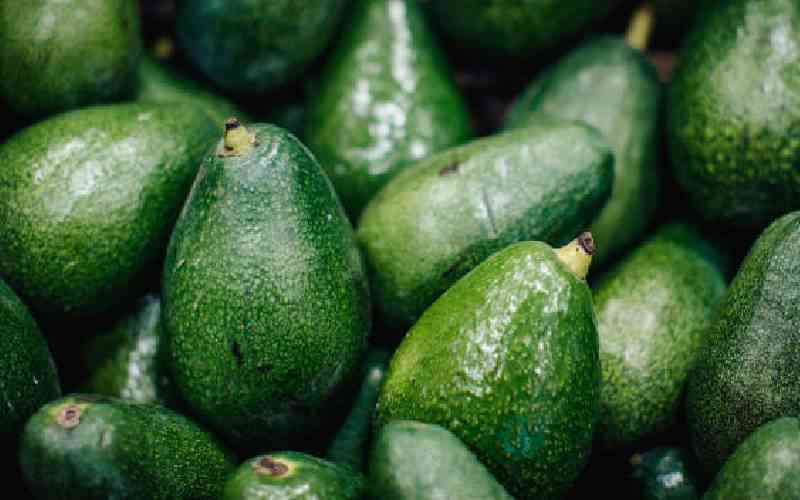 Two merchants arrested in possession of immature avocados