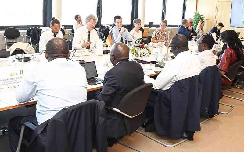 Kenya, Germany strike deal on smallholder irrigation expansion
