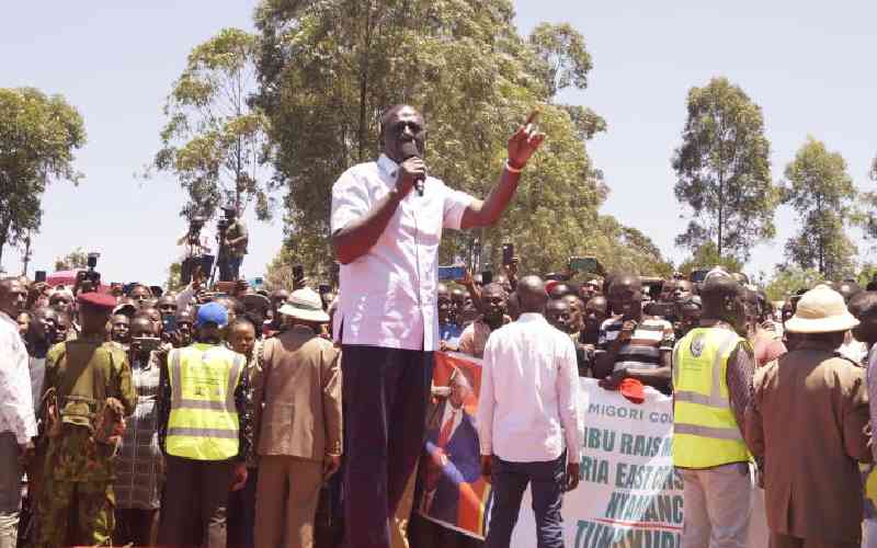 Nyanza opens up to Ruto, awaits for project windfall