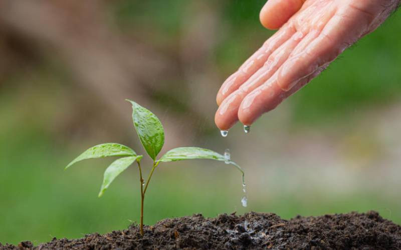 Green for life: Changing world through passion, purpose and resilience