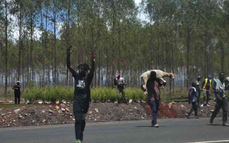 Mt Kenya leaders break ranks over Northlands raid, attacks on Uhuru