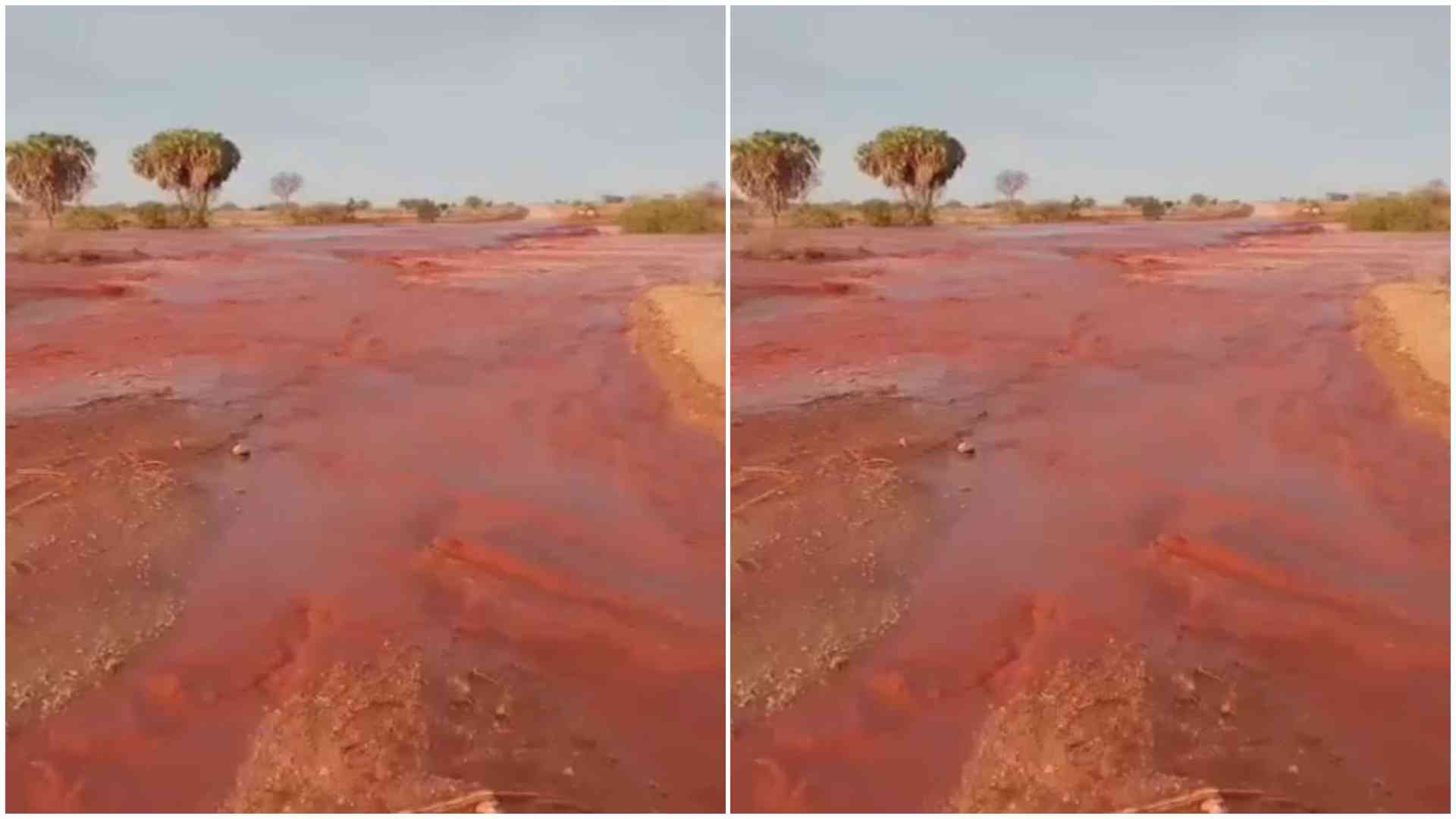 KWS closes key Tsavo East routes after flood incident, heavy rains render roads impassable