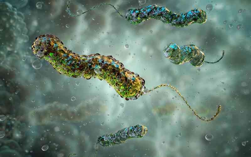 Nigeria police order anti-cholera measures over northeast outbreak