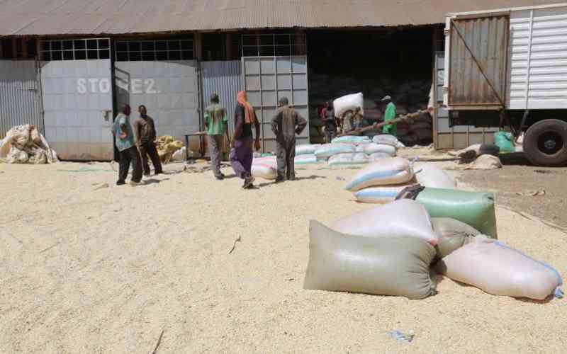 Small-scale millers say State has locked them out of maize subsidy scheme