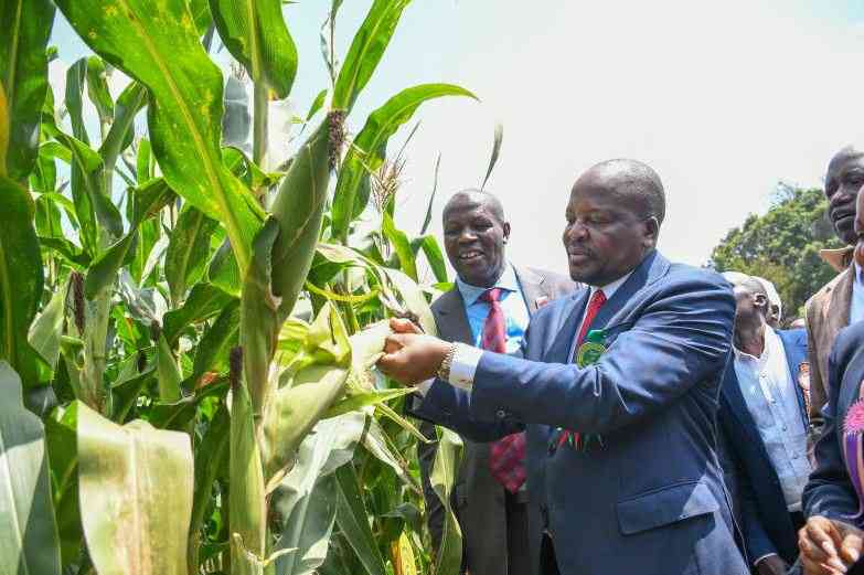 CS Kagwe calls for protection of ASK showgrounds