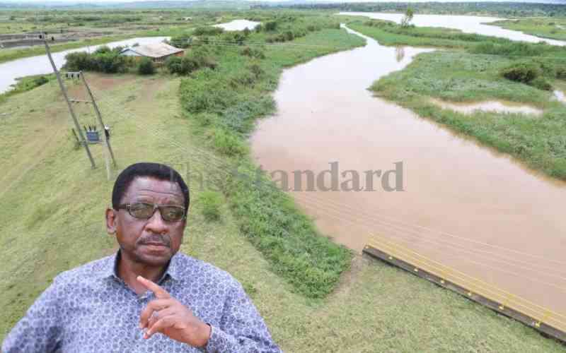 Intrigues behind the Sh20 billion investment in Yala Swamp
