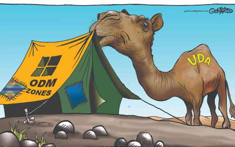 UDA's infiltration...