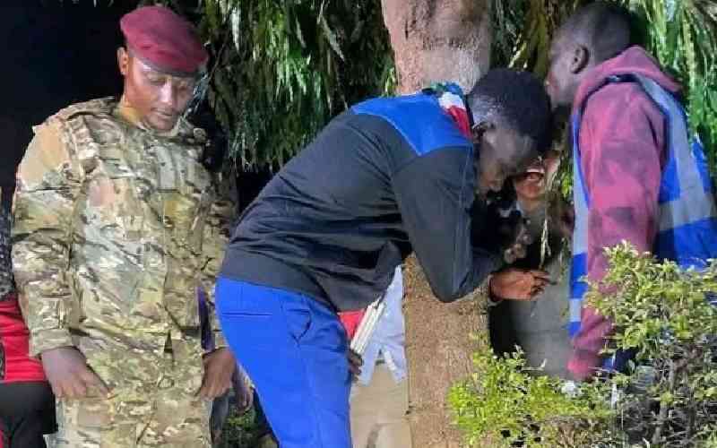 Doctors' warning: Tree-hugging protest risks one's lives or health