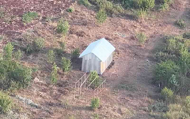 Why NLC recommendations around Kakuzi land is sending shockwaves to land owners