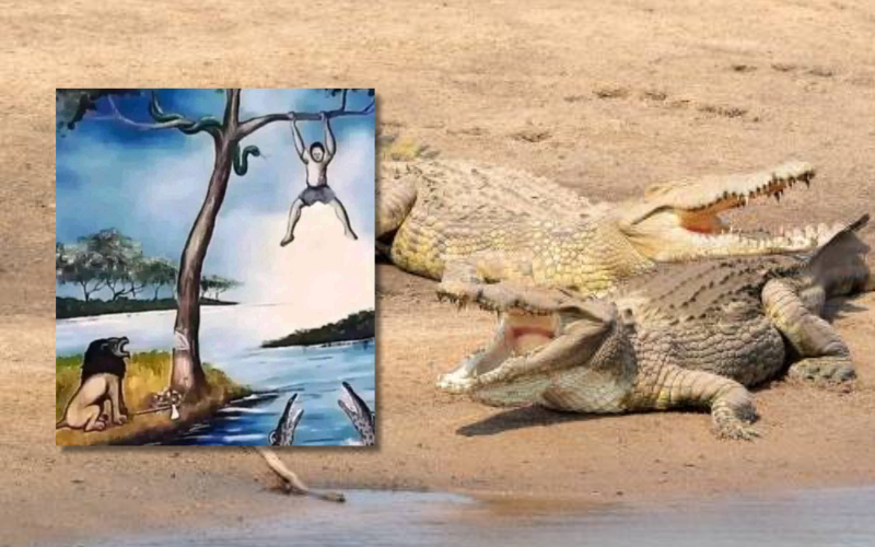 Zambia: Tragedy after man fleeing elephants killed by crocodile