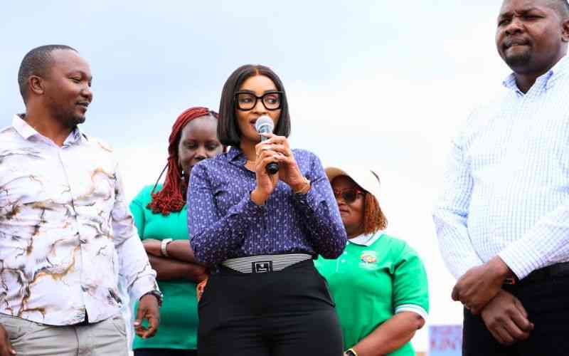 Court halts removal of Meru Land Executive