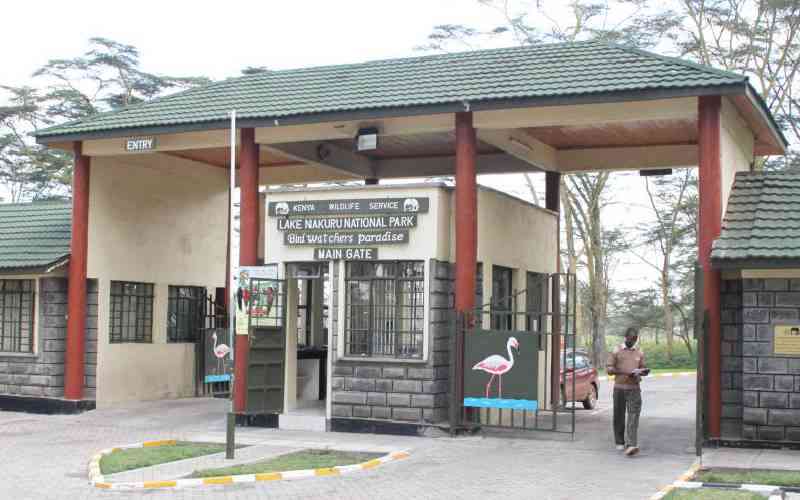 Detectives allowed to search for bodies inside Nakuru national park