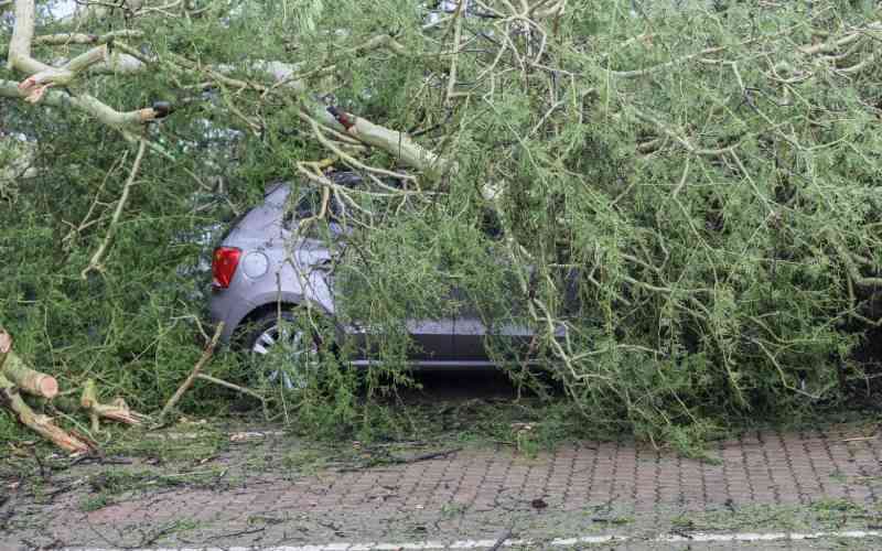 South Africa declares national disaster as floods batter region