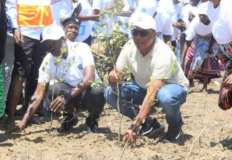 KPA awarded for its greening ocean project