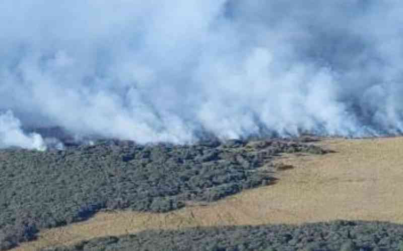 Kenya's protected areas stare at escalating threat from wildfires