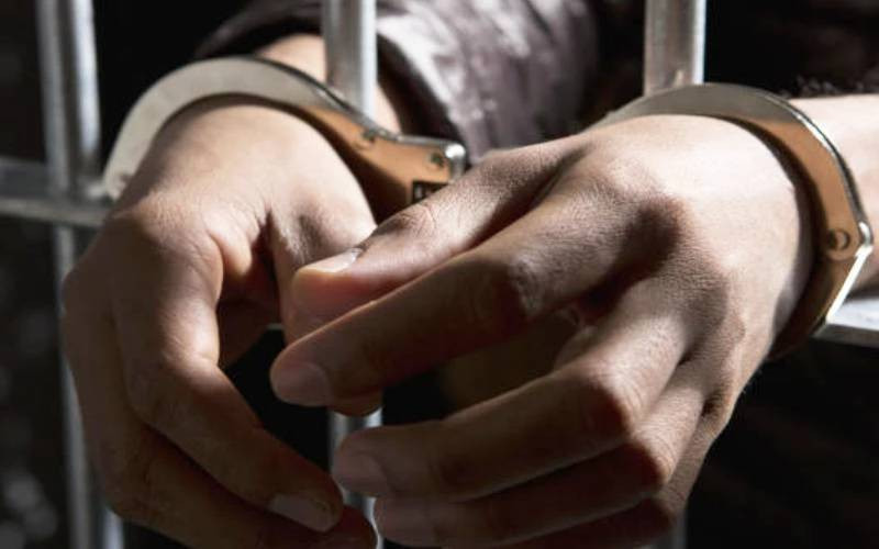 Mother, daughter arrested over alleged Sh40 million Karatina land fraud