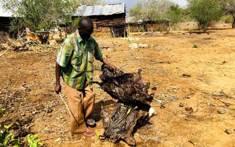 Plan International launches drought mitigation programme in Kilifi, Kwale