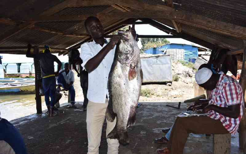 Fishermen suffer losses as climate change hurts fish species