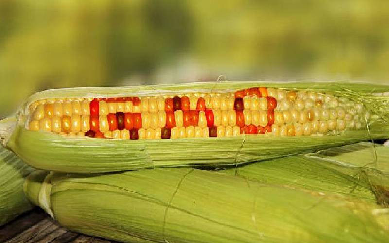 State fights to have GMO freeze cases consolidated