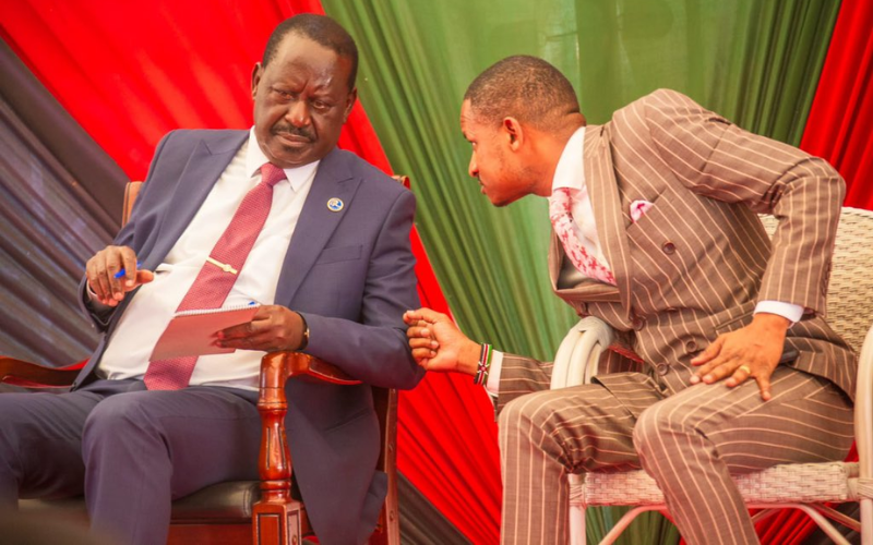 Raila Odinga was concerned by Babu Owino's fast rise, long-time aide claims