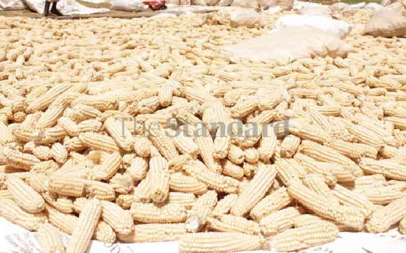 Maize thief released over a defective charge sheet