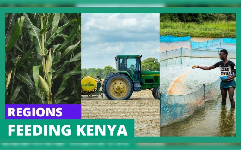The major farming activities and regions feeding Kenya