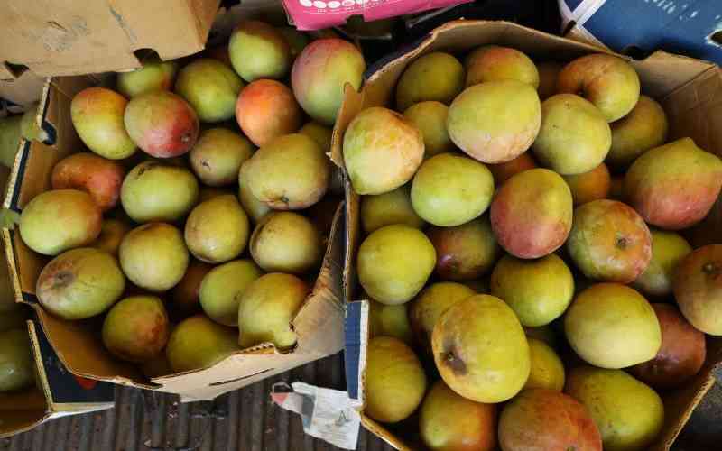 Exporters mixing avocado and mango batches risk losing deals, Authority warns