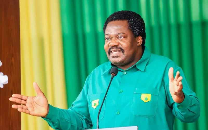 Tanzania Vice President Emmanuel Nchimbi resigns