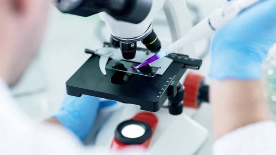 France reports first human Shamonda virus case