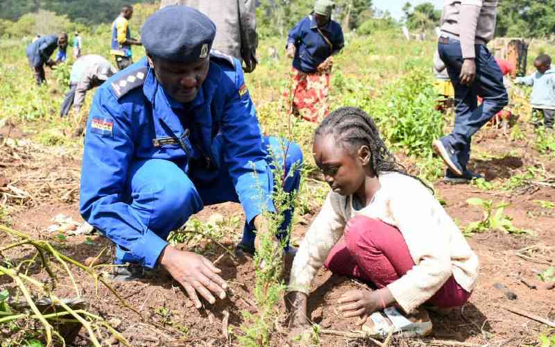 Power of Africa's cities and youth in climate crisis