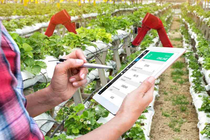 How computer science can help farmers grow more healthy foods