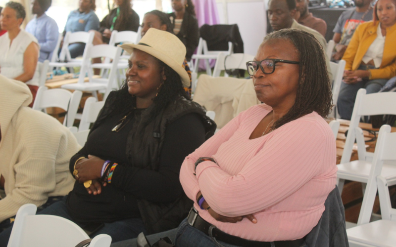 African filmmakers call for better IP protection, gov't support amid industry growth