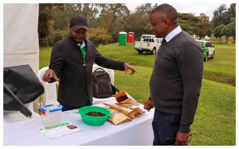 Experts: Partnerships hold the key to Africa's food security