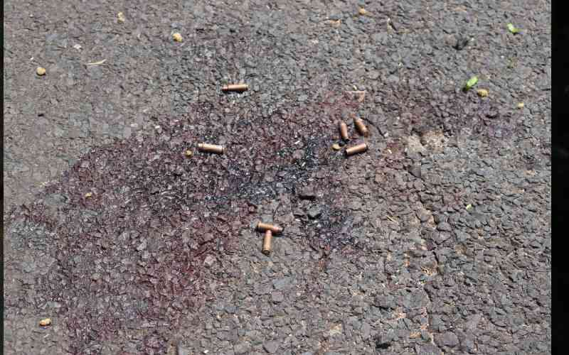 Tension high in Isiolo as human rights activist killed, scores injured