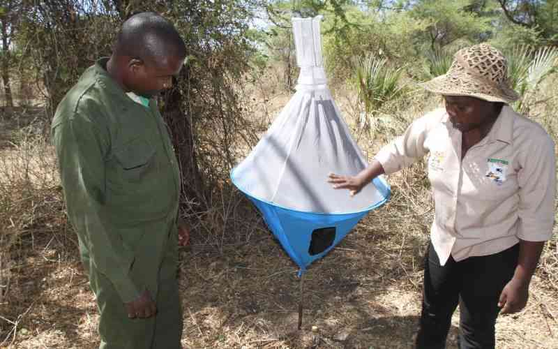 A new dawn: One pill conquers sleeping sickness